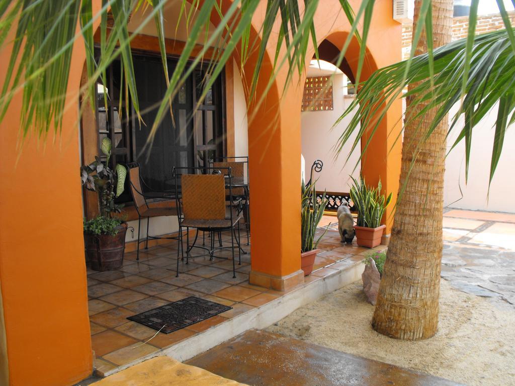 Hotel Leo'S Baja Oasis La Paz Pokój zdjęcie
